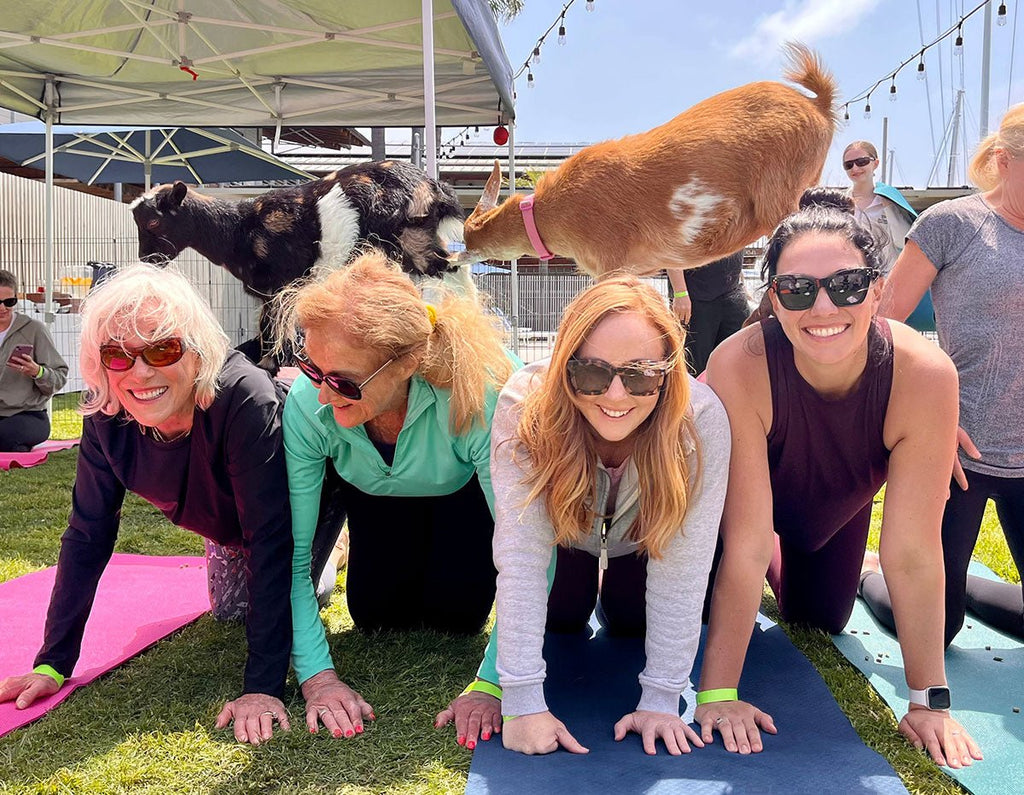 April 24th Bachelorette Party Goat Yoga - Little Farm Pets