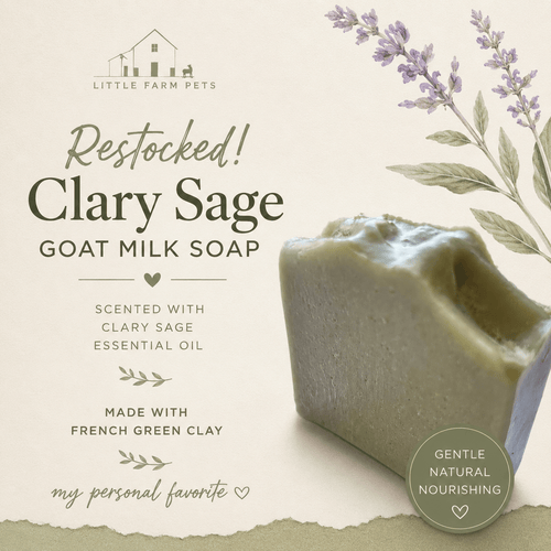 Clary Sage French Green Clay - Little Farm Pets